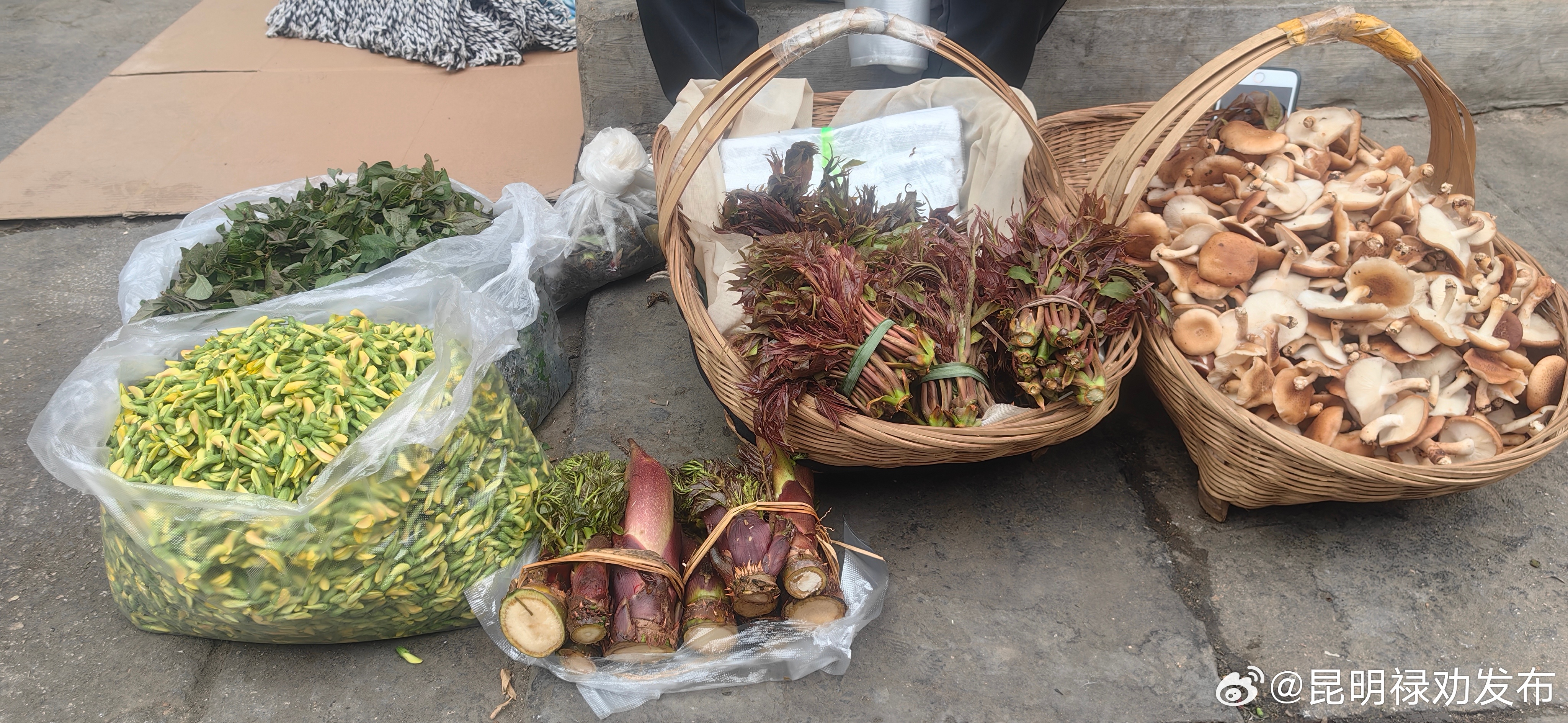 昆明禄劝发布