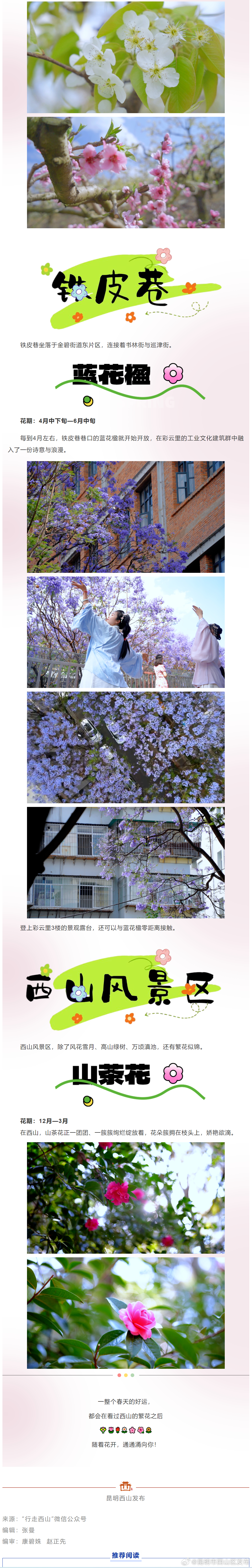 昆明市西山区发布