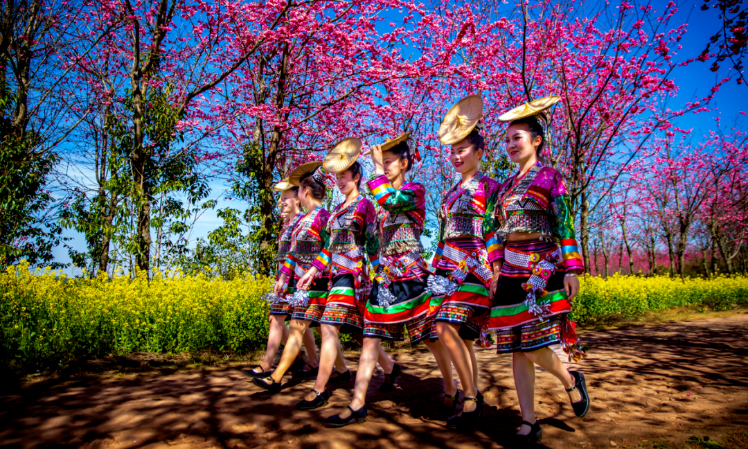 云南省文化和旅游厅