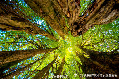 昆明经济技术开发区管委会