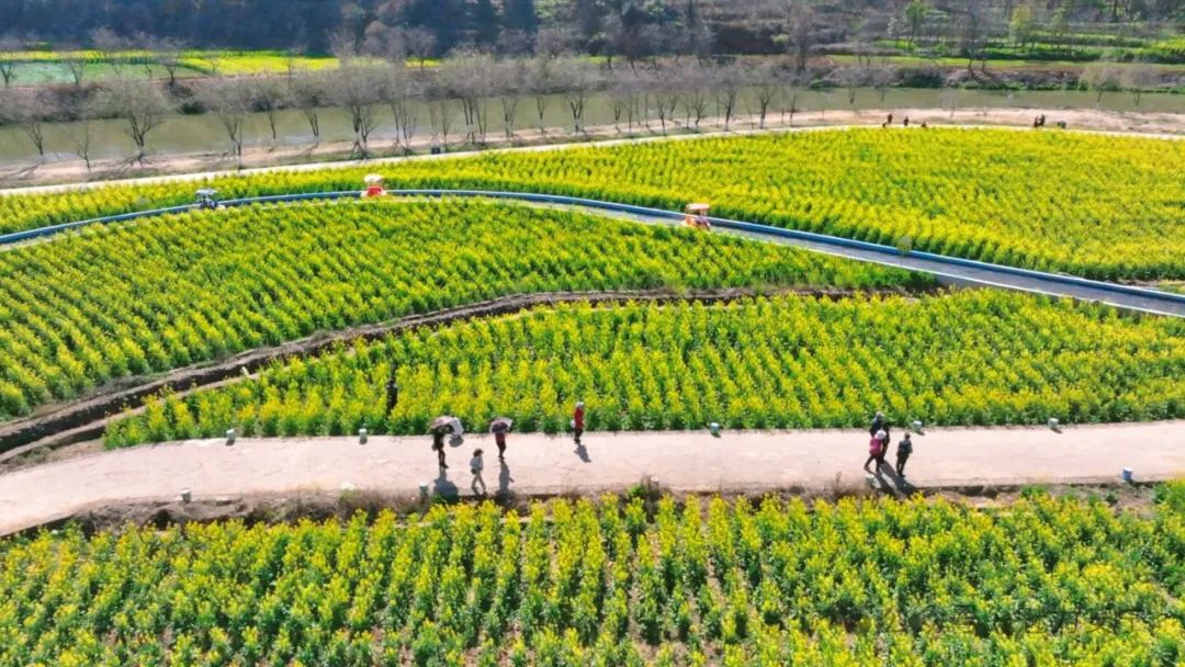 昆明文旅