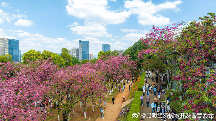 昆明经济技术开发区管委会