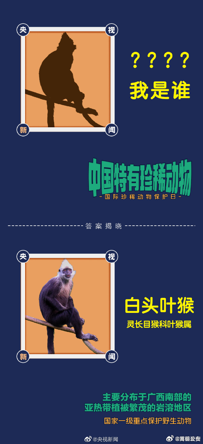 嵩明发布