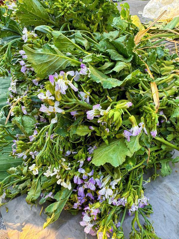 云南省文化和旅游厅