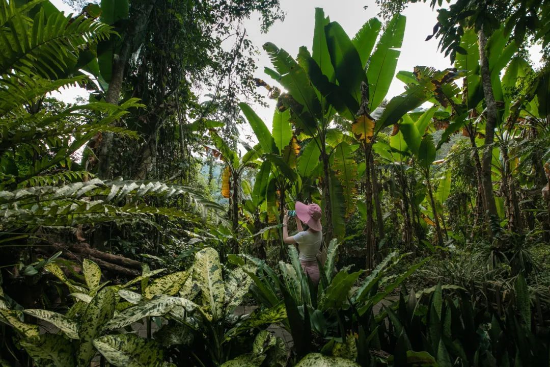 云南省文化和旅游厅