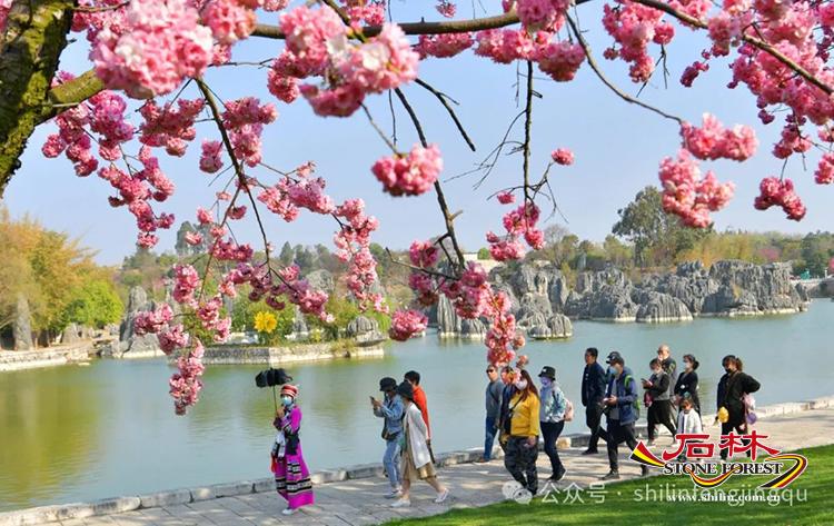 石林旅游网
