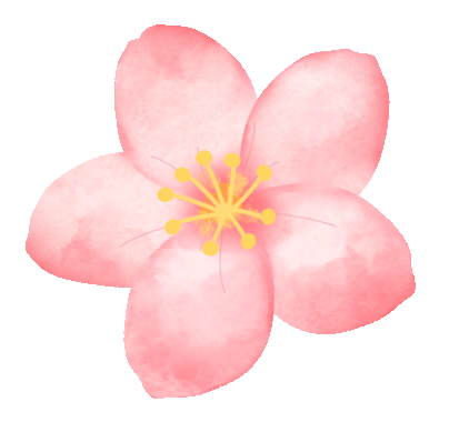 悦读嵩明