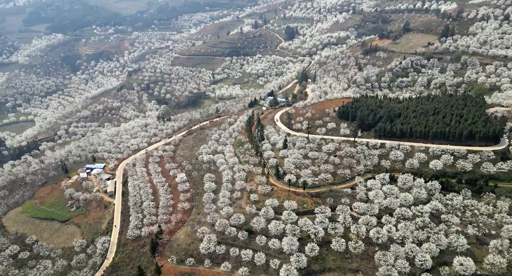 云南省文化和旅游厅