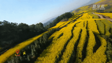 云南省文化和旅游厅