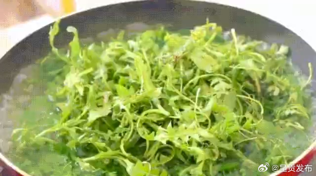 春天多吃荠菜补钙效果好