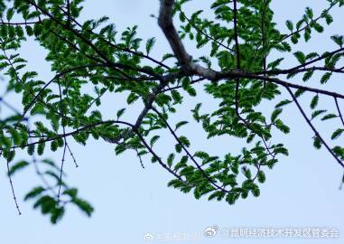 昆明经济技术开发区管委会