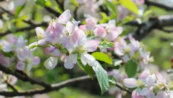 云南省文化和旅游厅