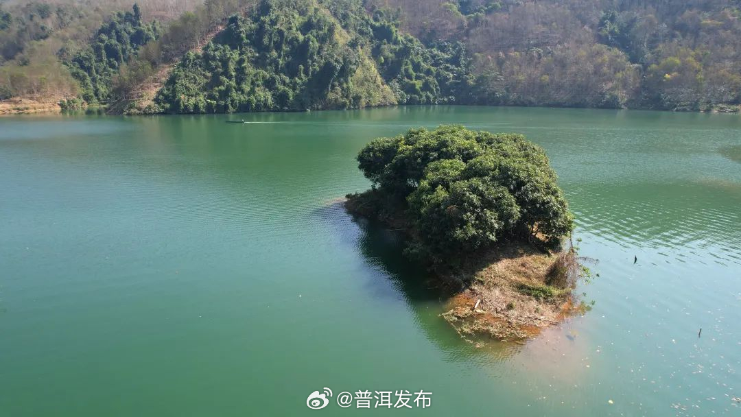 普洱发布
