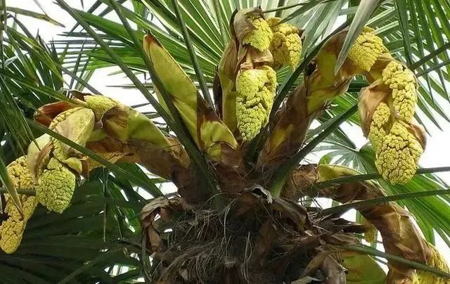 云南省文化和旅游厅