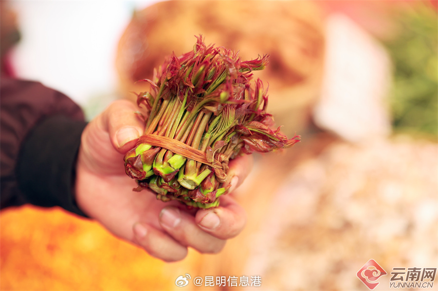 昆明信息港微博