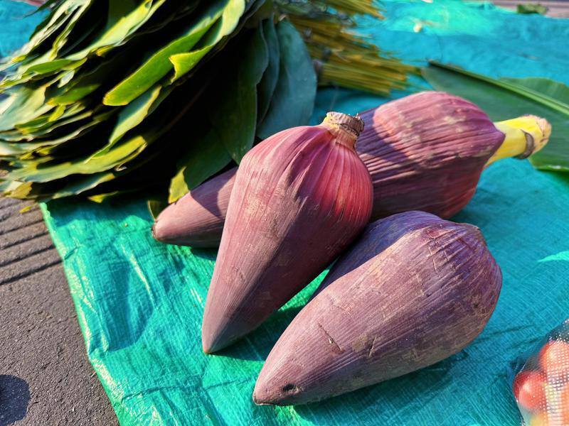 云南省文化和旅游厅