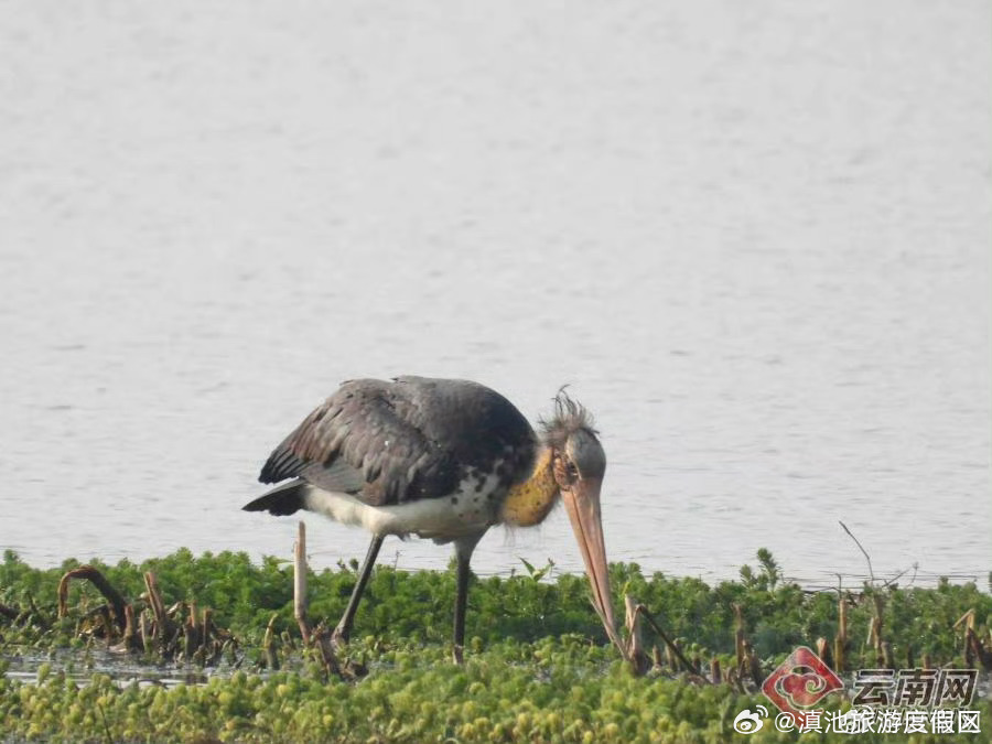 滇池旅游度假区