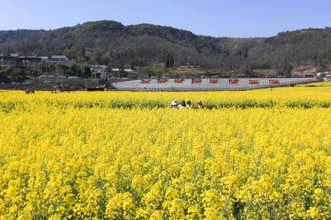 昆明文旅