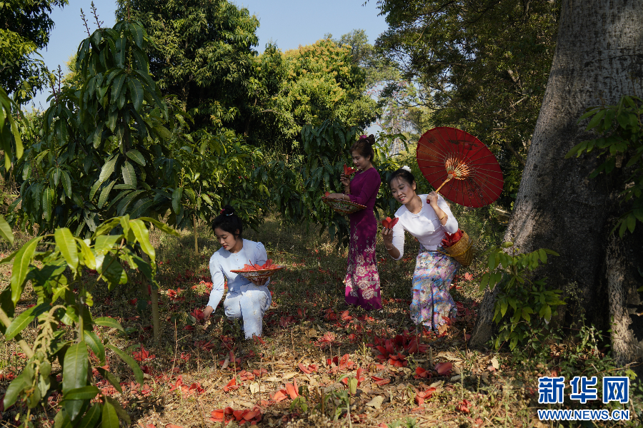 云南省文化和旅游厅
