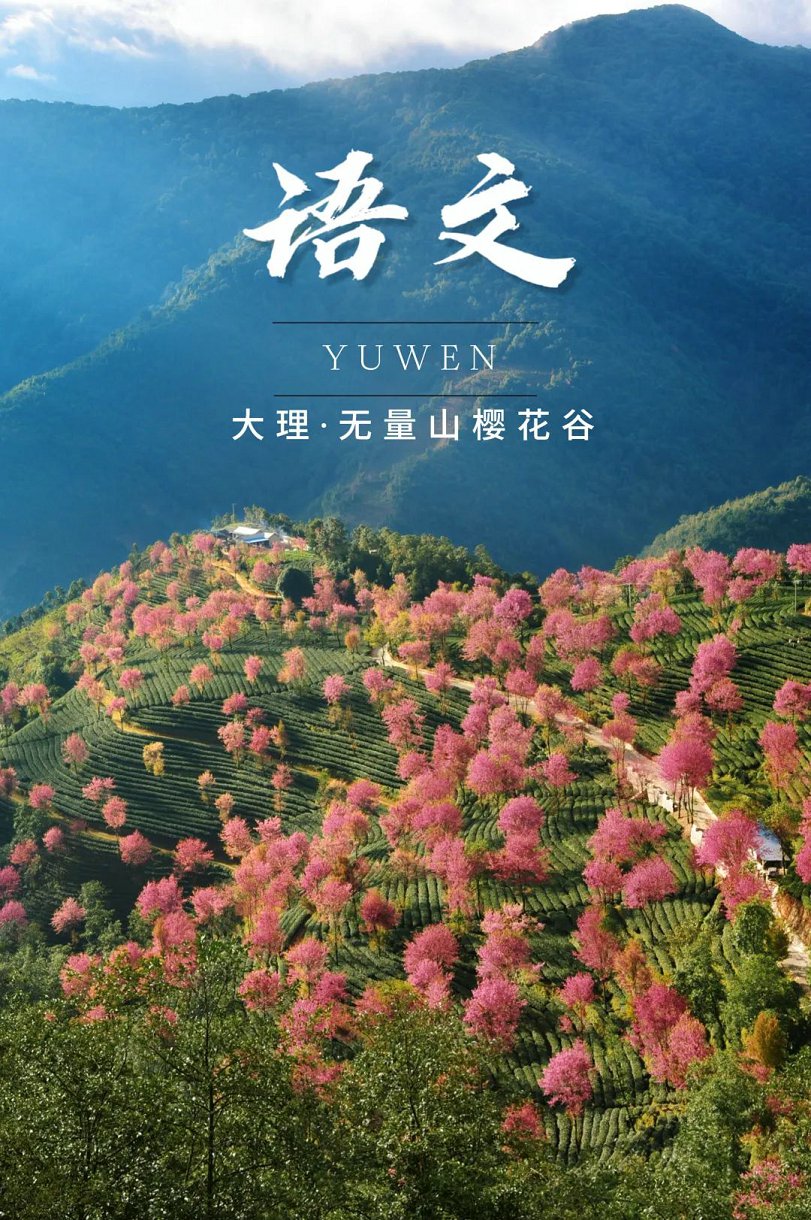 云南省文化和旅游厅