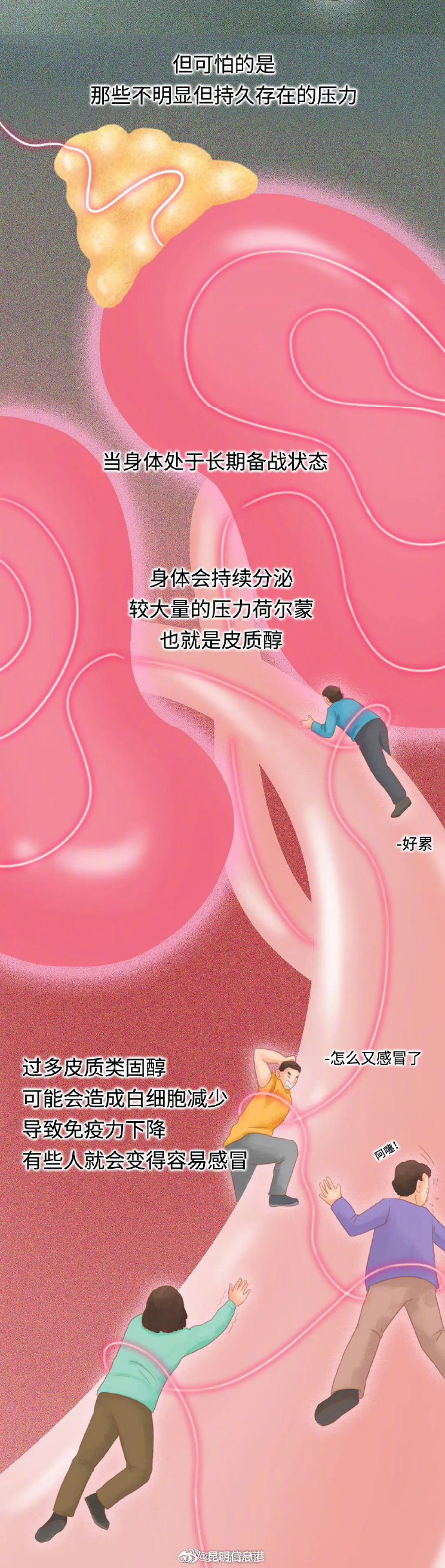 昆明信息港微博