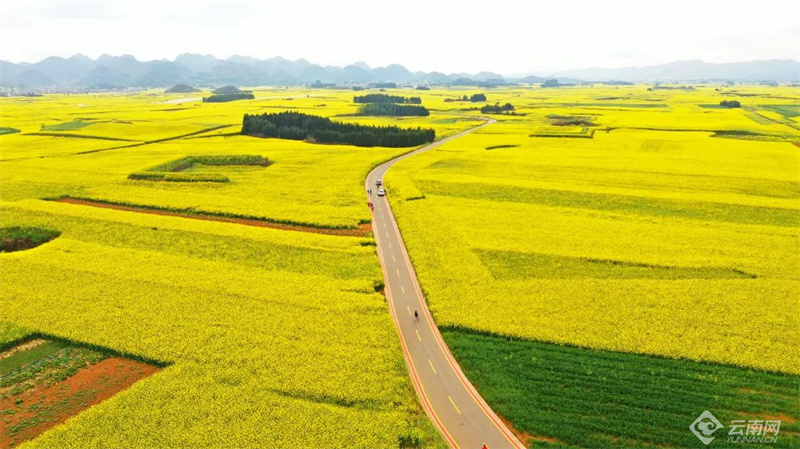 云南省文化和旅游厅