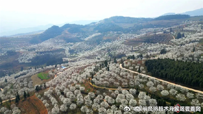 昆明经济技术开发区管委会