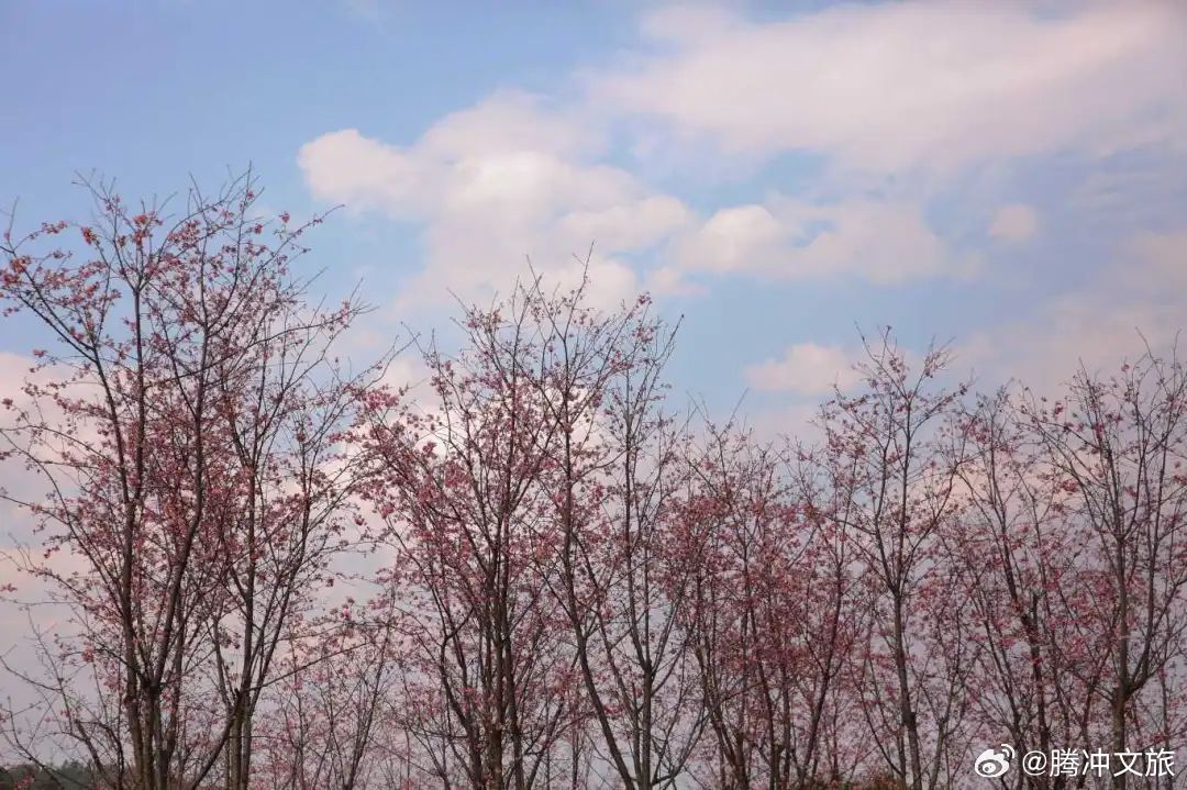 腾冲文旅