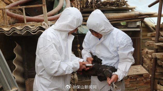 保山新闻网