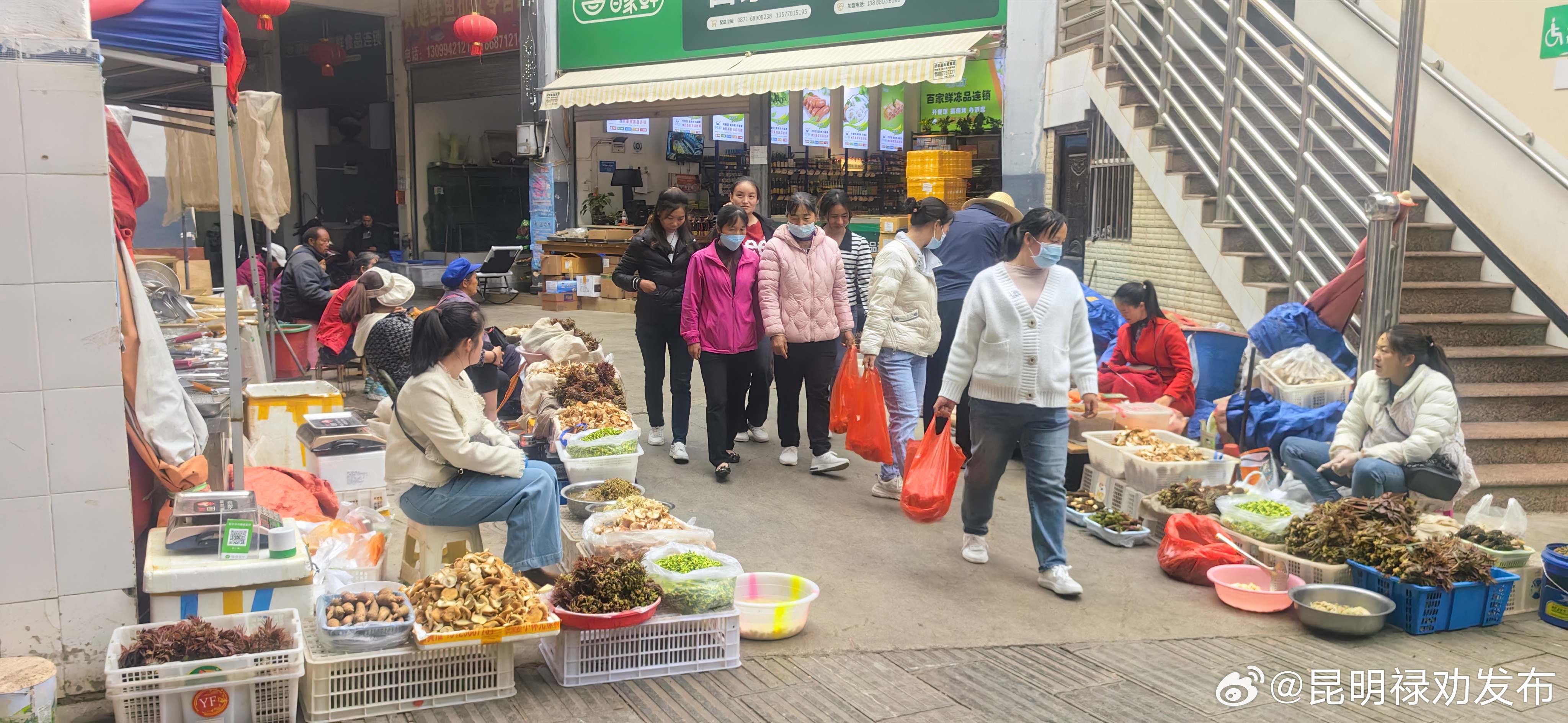 昆明禄劝发布