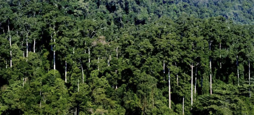 云南省文化和旅游厅