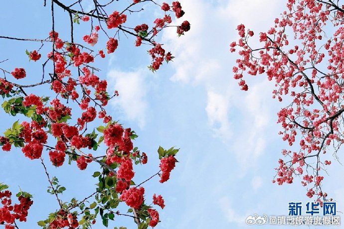 滇池旅游度假区