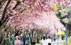 昆明自来水公司