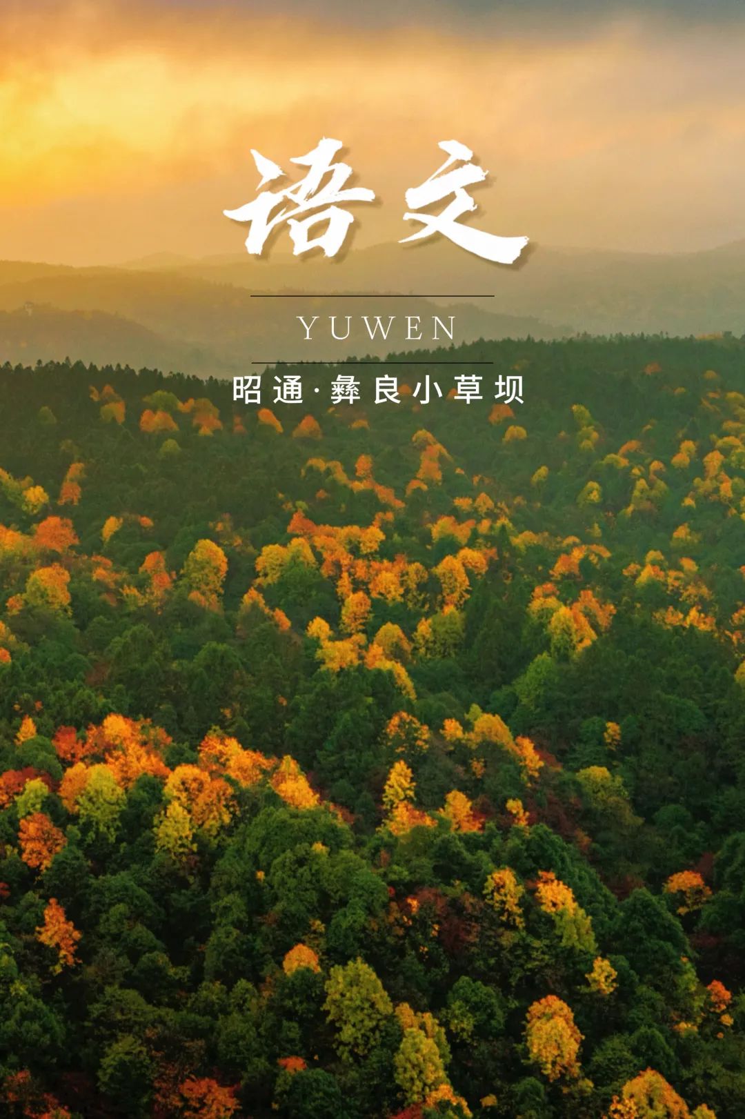 云南省文化和旅游厅