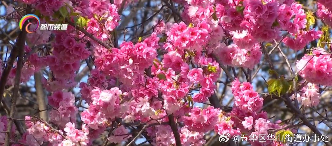 昆明这里人多车多易拥堵！重要提醒→
