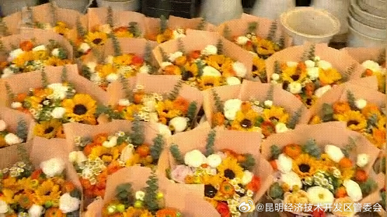 昆明经济技术开发区管委会