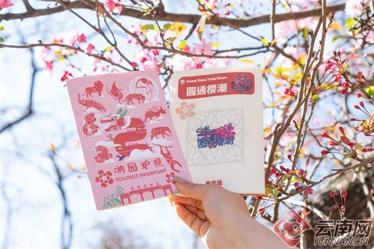 云南省文化和旅游厅