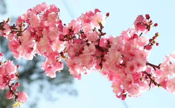 云南省文化和旅游厅