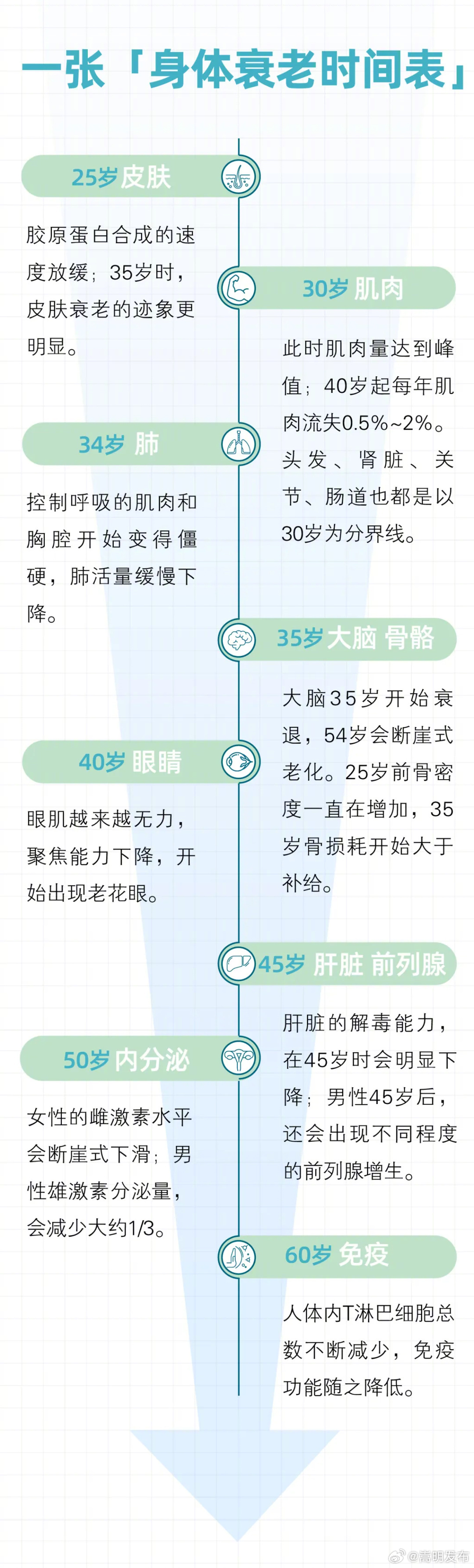 嵩明发布