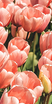 昆明市第一人民医院