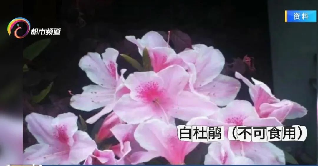 昆明信息港/cnkmxxg