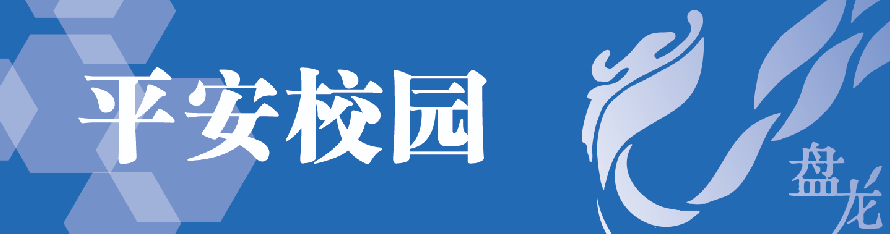 盘龙教育