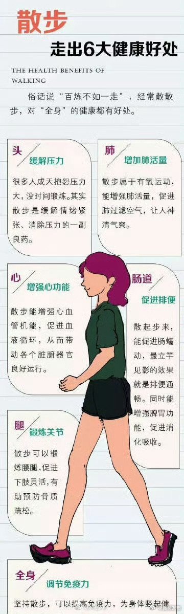 嵩明发布
