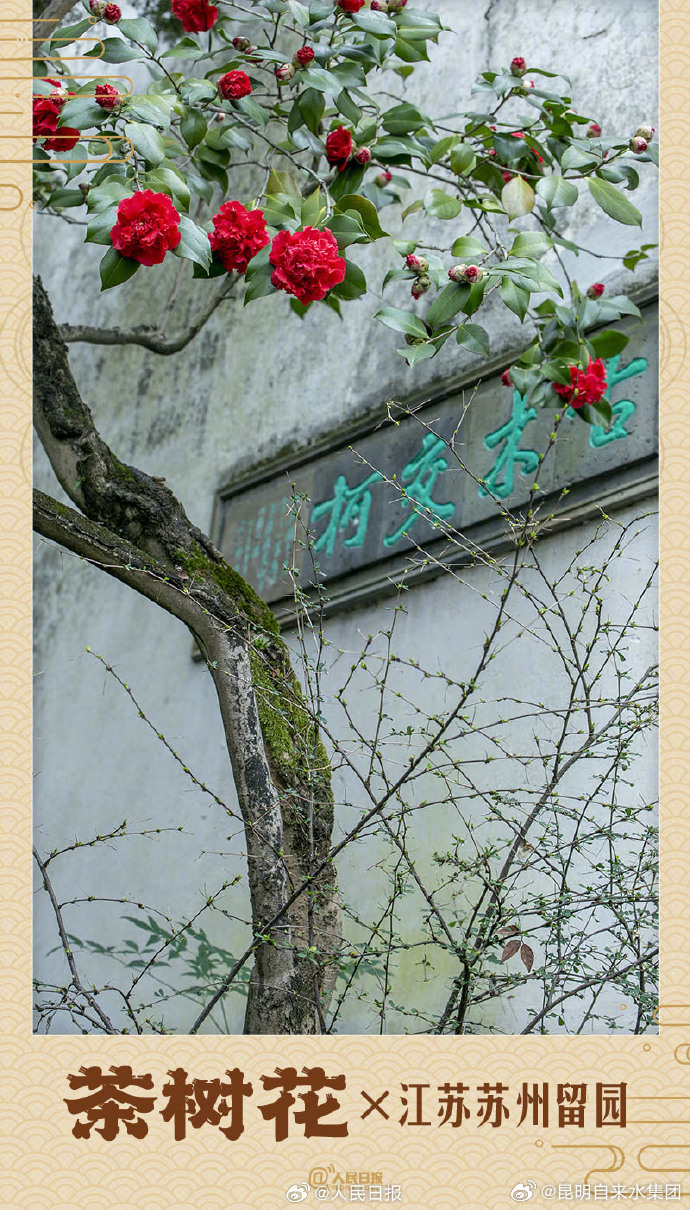 昆明自来水公司