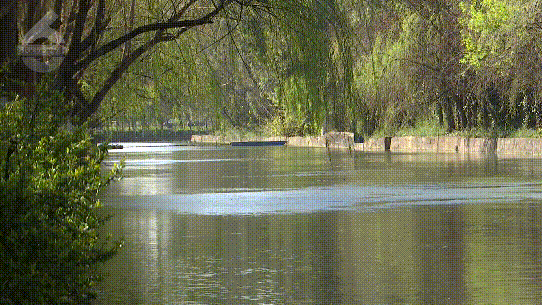 3月1日至6月30日 滇池全流域禁钓