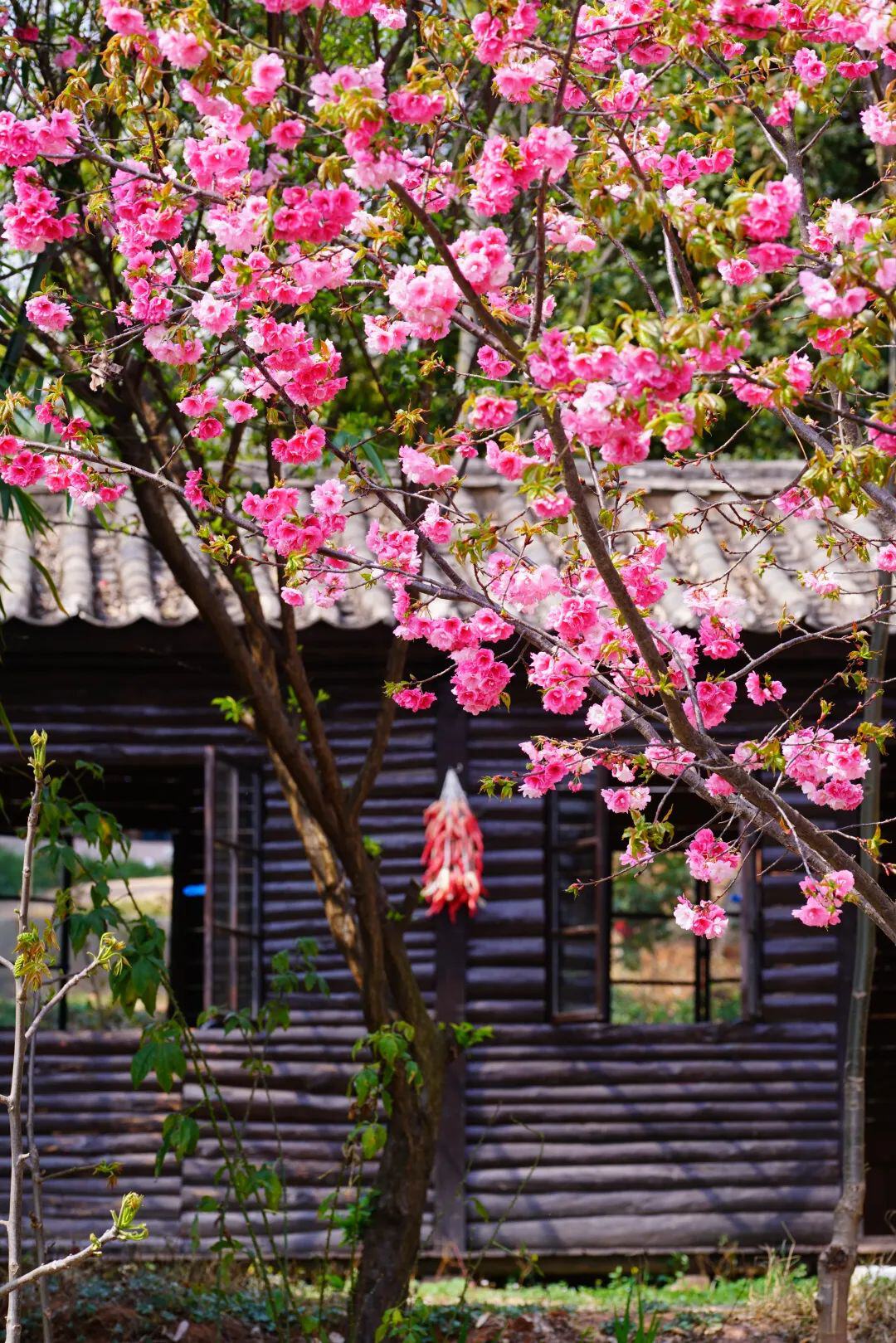 云南省文化和旅游厅