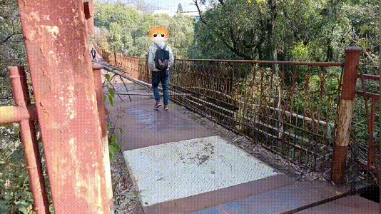 春城晚报