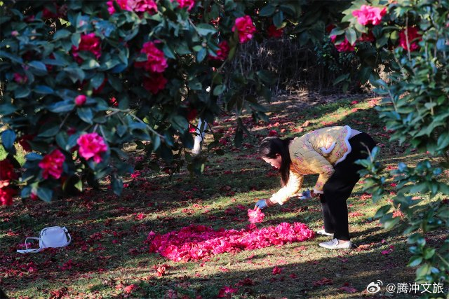 腾冲文旅