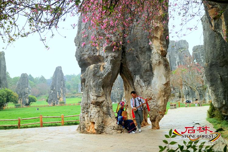石林旅游网