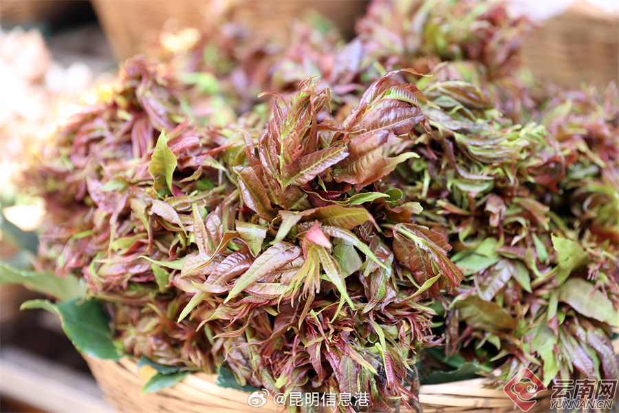 昆明信息港微博